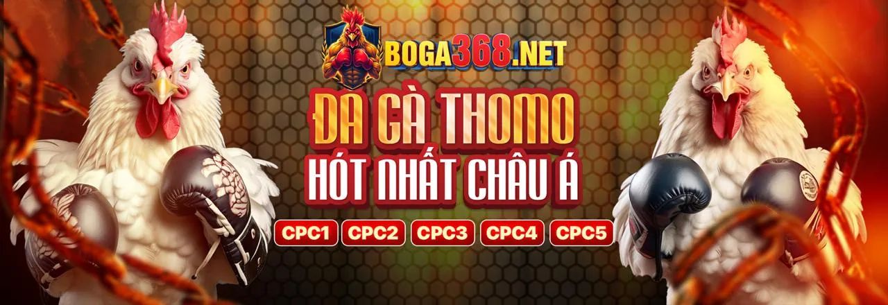 Hình ảnh minh họa trách nhiệm giải trình và tuân thủ của vipvin code
