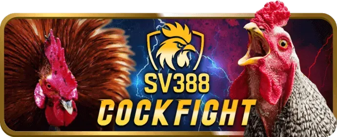Tin tức vipvin code mới nhất