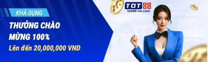 Điều khoản và điều kiện vipvin code